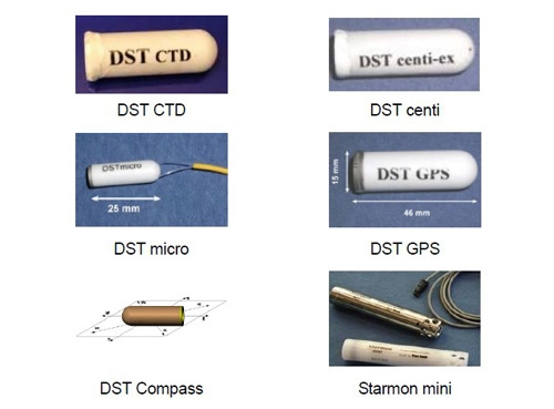 DST魚類追蹤記錄儀